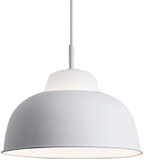 Lámpara Colgante Industrial Moderna de un Solo Cabezal, Chino, Europeo, LED, 1 luz, Color, para Cocina, Dormitorio, Comedor y Restaurante.