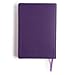 KJV Explorer Bible for Kids, Purple LeatherTouch, Indexed, Red Letter, Full-Color Design, Photos, Illustrations, Charts, Videos, Activities, Easy-to-Read Bible MCM Type