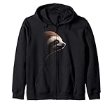 Sloth Fun Designs