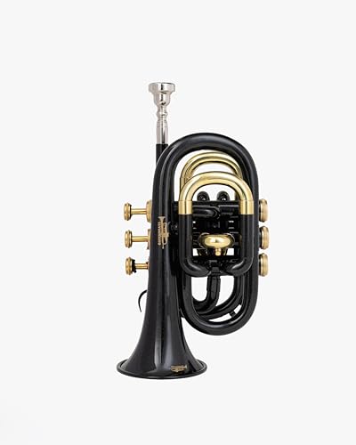 QUEENBRASS - Trompeta de bolsillo en tono Bb - Acabado lacado negro con detalles dorados y rojos |...