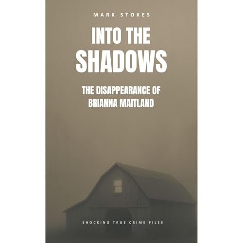 Into the Shadows by Mark Stokes episode artwork