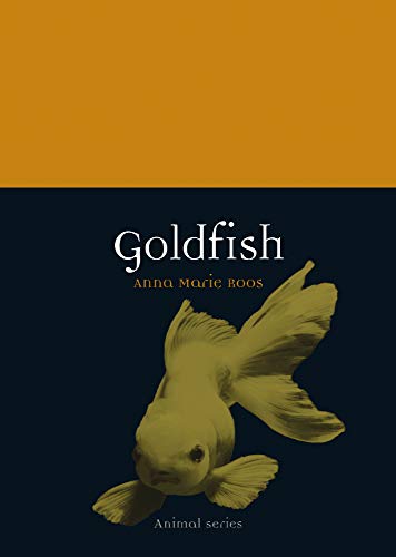 Goldfish (By: Anna Marie Roos)