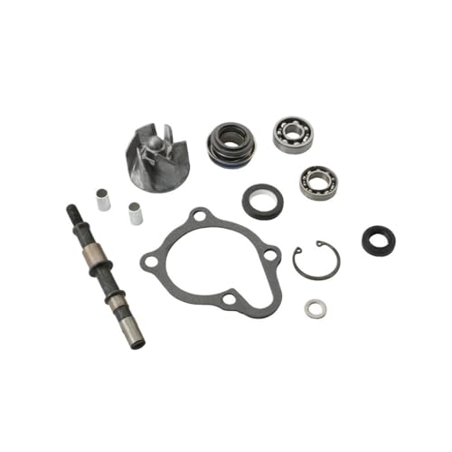Plus de surchauffe avec le kit de réparation pompe à eau BWS 250cc 300cc - 2