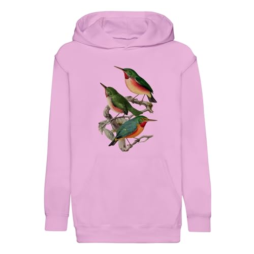 Sweat à capuche enfant Todier avec illustration ancienne d'oiseaux de la faune