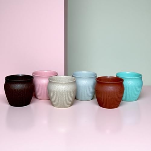 Image of Happy Cove Eco Friendly Cup Set of 6 for Tea | Unbreakable Chai Cups | 225ml | Coffee Cup Made with Rice Husk & Bamboo Fibre | Microwave Safe Tea Kulhad | Hot & Cold Coffee Mug, Milk & Tea Cup Set