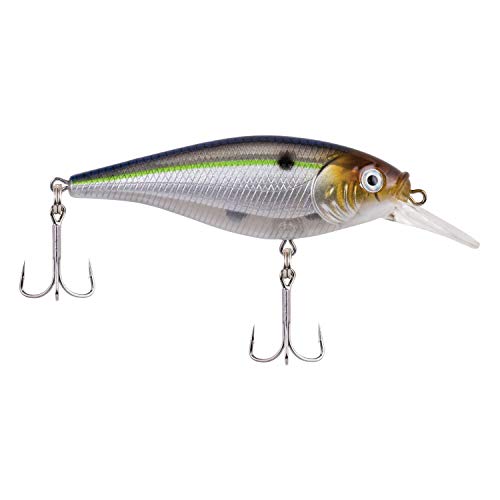 Berkley Crankbait Hard Fishing Lures, Blue Smelt, 2 3/4In - 2/7 Oz #TOP1