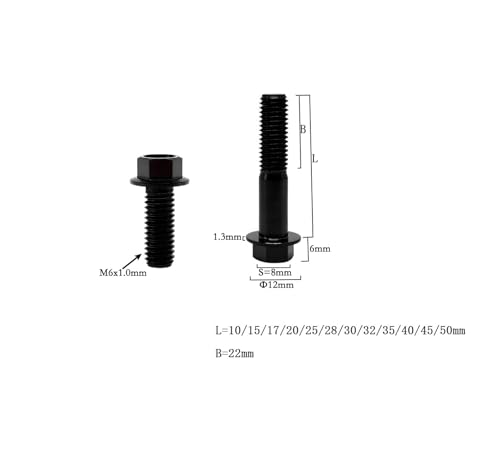 Image of RISON Titanium Flanged Hex Head Bolt M6x1.0x12mm 6AL4V Aerospace Grade 5 Black Titanium Bolts for Motorcycle Car Modification Pack of 5