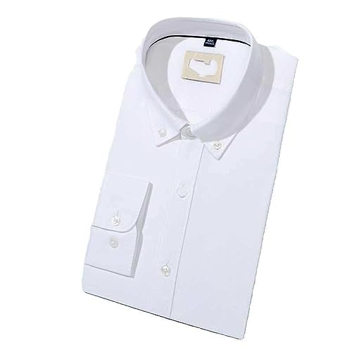 Chemise Oxford en coton doux premium coupe regular classique hommes