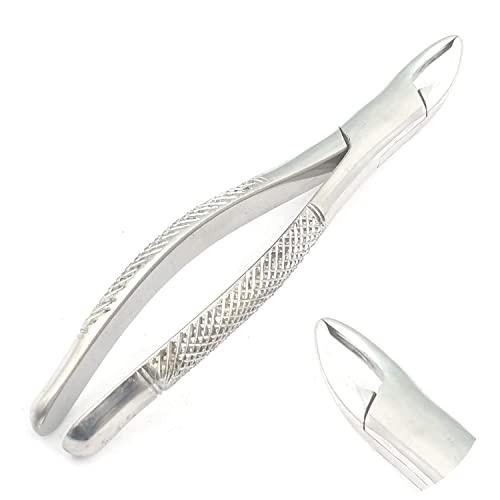 American Extracting Forceps / American Extracting Forceps No. 150s