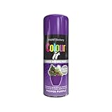 DIOXSTAR Purple Spray Paint, 250ml (1 PCS), Gloss Finish, Quick Drying, All Purpose for Metal, Wood, Plastic, Interior & Exterior Use