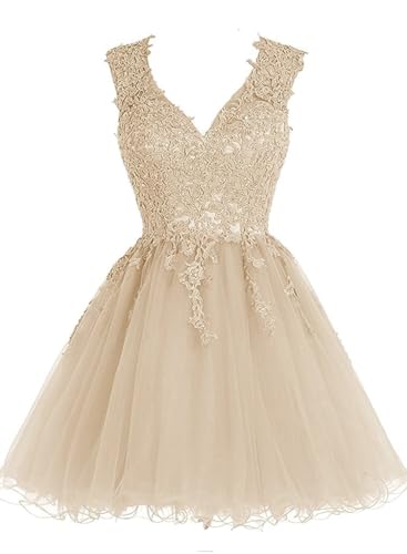 JAEDEN Homecoming Dresses for Teens Short - Prom Dress 2024 HOCO Dresses Lace V Neck Tulle