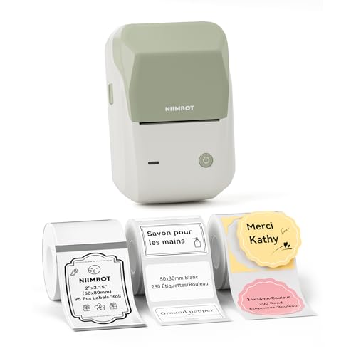 NIIMBOT B1 Etiquetadora Bluetooth con 3 Rollos de Etiquetas(Verde)