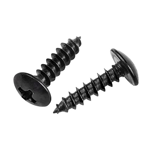 Tornillos autorroscantes acero inoxidable 50 piezas M3x6 mm miniatura 5