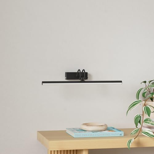 RAIFOOLLY Picture Light,20in Battery Operated Art Lights for Paintings,Remote Display Accent Light with Timer and Dimmable for Wall,Frame,Portrait,Dartboard-Black