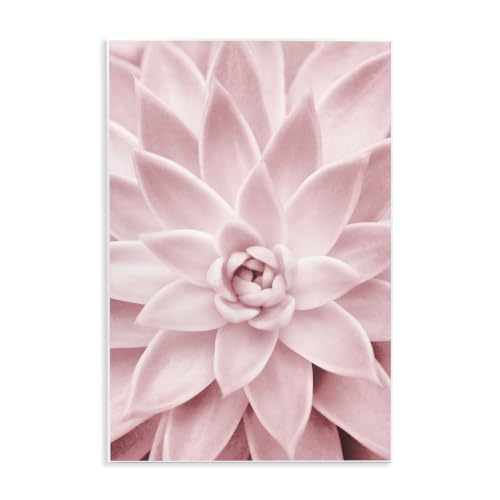 Stupell Industries 'Pastel Pink Succulent'| Wall Plaque Art