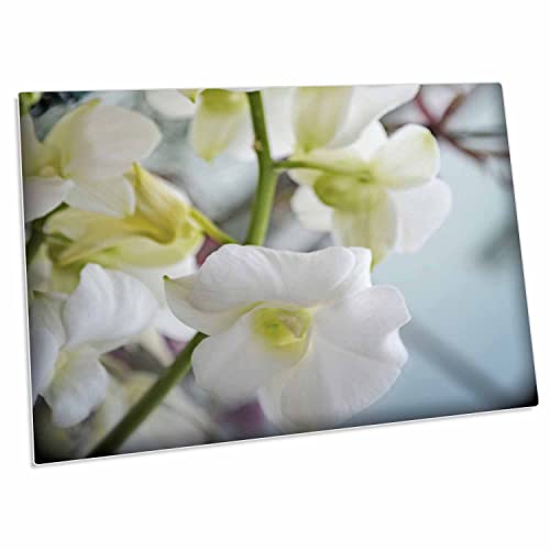 3dRose Cluster White Orchids Pad para Escritorio 23x16"