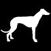 Stickers pour voiture 14 * 9.5cm Greyhound voiture autocollant autocollant de voiture accessoires de voiture personnalité autocollants de motocyclette animal stickers pour voiture