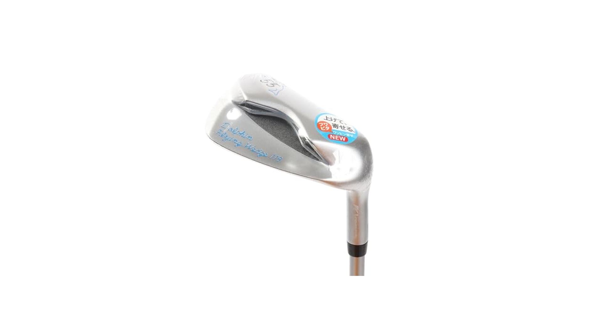 Kasco - キャスコドルフィンフライングウェッジDFW119ロフト角55度アプローチ専用 Dolphin Wedge キャスコ ドルフィン フライング ウェッジ DFW