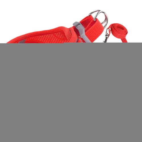 Lbgn[lX,\tgbVxXg ːSXgCvt | S M L TCY qLp xXg^  ybgpi s AEghA obNpbN g[jOp