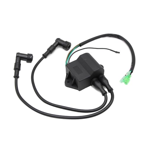 Bobine d'allumage convient à Les Moteurs DT20 DT25 DT30 pour vos sorties de pêche