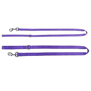 4 feet dog leash with padded handle sturdy nylon dogs leads for small medium large giant dogs walkingtraininghikingjoggingcampingetc ultra violete small4 feet length× 58 inch width   cucciolini doodles