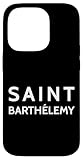 Saint Barthlemy Artwork Gift