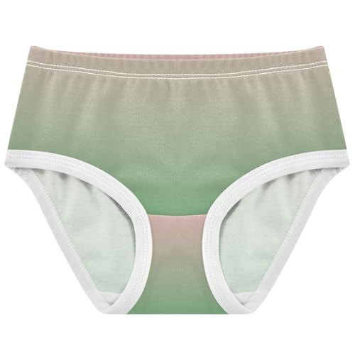 Joisal Funny Toddlers Underwear Floral 2t Cotton Panties for Girl Blush Pink Clover Green Gradient Underpants Briefs
