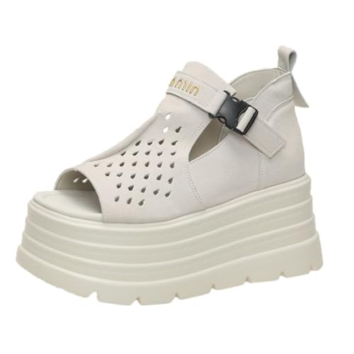 [`GOC] T}[u[c u[cT_ fB[X  T_ EGbW\[ JWA  C  8cmq[ Xgbv I[vgD ʋC ₷ Ȃ zCg 24.5 cm RtH[g