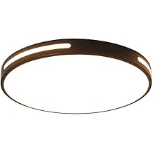 12-Inch Lighting Installations, 24W, 5000K Daylight White, 2400LM, Non-Dimmable Ultra-Slim Round Fixture for Bedrooms, Kitchens & More