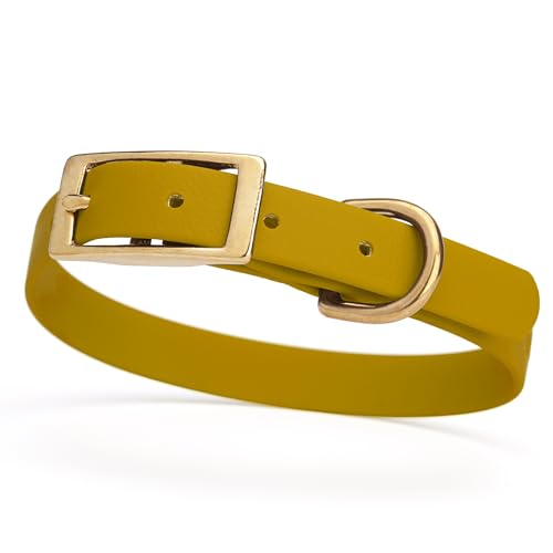 Image of Viper Biothane Heavy Duty Waterproof Dog Collar Strong Coated Nylon Webbing w /Solid Brass Hardware Odor-Proof Easy to Clean High Performance Fits Small Medium or Large Dogs, Treasure Gold