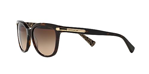 Image of Coach womens Hc8132 Cat Eye Sunglasses