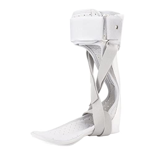 u[XT|[gAꋸAjƏ̂߂̑񑫑AALXF֐ߔPŒ胊nr܃veN^[AEL