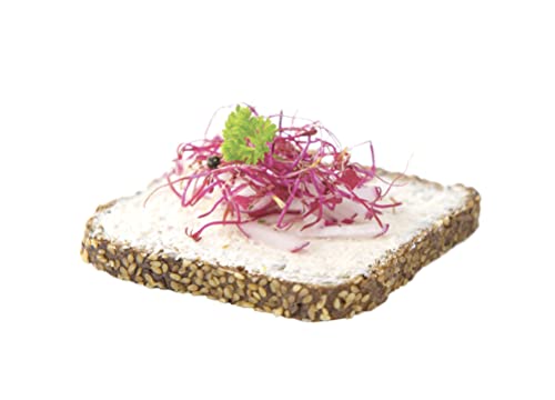 Tescoma Germogliatore in Vetro Sense