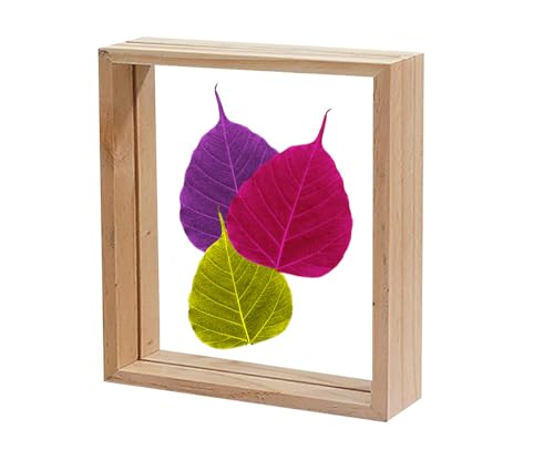 Image of Desi Rang Wooden Frame for Wall Decor Table top Hanging Any Green or dry plant Leaf Picture Photo DIY Gift Home decoration (Natural,Sqr,7x7 inch,with random peepal colored leaf)