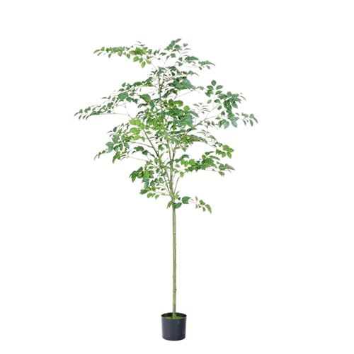 [LJKI] lHϗtA K̖ K̖ sv R 160cm  rO ^ CeAO[ Ύ   lHϗt  A JXj J@j z j v[g t S A 傫 킢