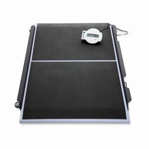 Seca 656 Platform Scale for Gurneys Stretchers with Wheels