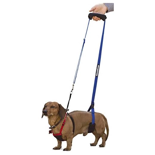 GINGERLEAD Dog Sling Hip Support Harness, X-Small Fits Little Pets under 25 lbs and Dachshunds with IVDD, Spinal Disc Disease, or Back Injuries. Assist Elderly, Paralyzed, or Recovering Pets.