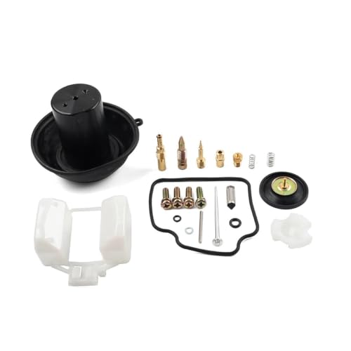 Kit réparation carburateur résout fuite et ralenti sur moto CBX250