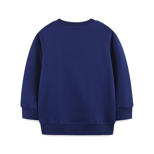 Boys Sweatshirts Casual Sweatshirts Cotton Sweatshirts Long Sleeve T-shirts Crew Neck Cartoon Tops for Boys-3302