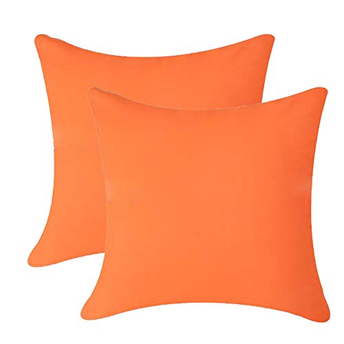 Andreannie Pack of 2 Outdoor Waterproof Decorative Throw Pillow Cover Cushion Case