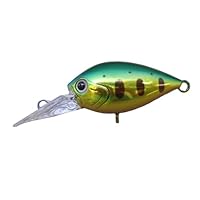 ディスプラウト　チャタクラDR 11個セット ChatteCraDR ディスプラウト チャタクラDR 11個セット ChatteCraDR