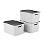 Rotho Jive Dome Boîte de rangement 13 l avec couvercle, en plastique (PP), sans BPA, blanc/transparent, 3 x 13 l (40,5 x 28,3 x 28,9 cm