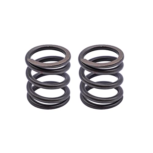 2 Pcs 18Lbs Valves Springs For Honda Gx200, Bsp, And Most Other Gx200 Ohv Clone Engines. #TOP1