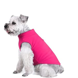 YAODHAOD – Gilet in Pile di Alta qualit...