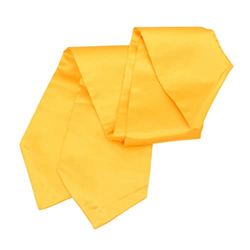 Yardenfun 2pcs Graduation Stole Bento Picks Graduation Outfit Grad Cords Stole of Gratitude Braided Double Cords Bachelor Graduation Cord Adult High School Embroidered Men and Women Belt