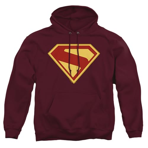 Superman 2025 Logo Adult Hoodie