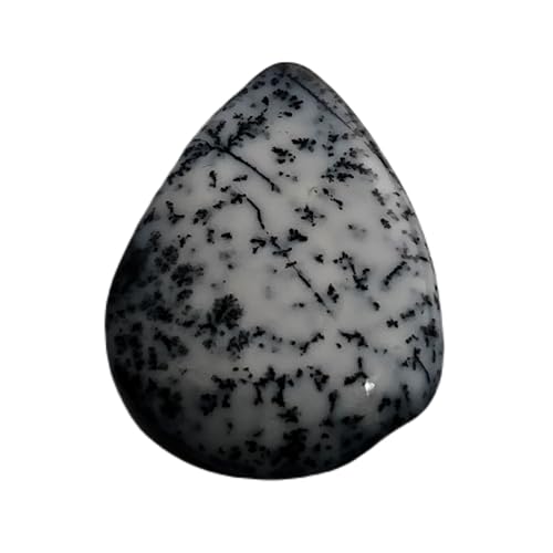 Piedra preciosa suelta de ágata dendrítica natural de 4,05 quilates, 15 x 12 x 4 mm, cabujón de pera | LCAB-2587, 15x12x4mm, Ágata dendrítica, Otras piedras preciosas