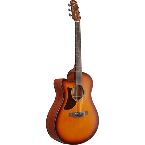 アイバニーズ Ibanez エレアコ」の人気商品一覧 | 安い商品を通販