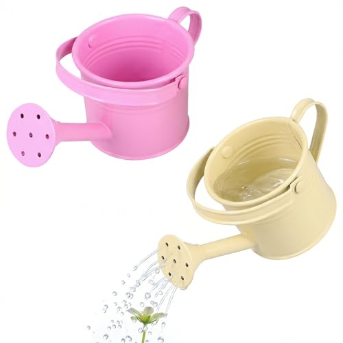 Image of DOITOOL Small Metal Watering can for Kids Pink Mini Flower Watering Pot with Long Spout Portable for Indoor and Outdoor Plant Care