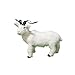 SHUYANshiyu Modèle de chèvre Modèle Simulation de chèvre décoration Peluche Animal bébé chèvre modèle Accessoires Zodiac Mouton Mascotte Artisanat (Color : B, Height : Other)
